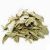 boldo-en-hojas-x-1-kg.jpg