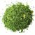 espinaca-x-1-kg.jpg