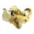 hongos-secos-pleurotus-oyster-girgolas-x-1-kg.jpg