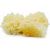 hongos-secos-tremella-x-1-kg.jpg
