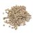 pimienta-blanca-en-grano-x-1-kg.jpg