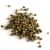 pimienta-verde-x-10-kg.jpg