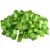 pomelo-verde-en-cubos-x-5-kg.jpg