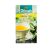 te-dilmah-green-jasmine.jpg