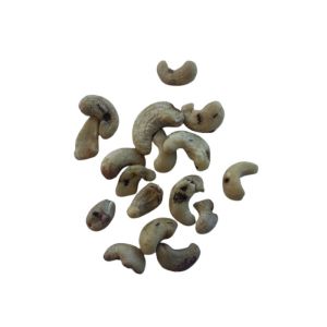 Castaña de Caju W4 Entera Cruda x 20 kg.