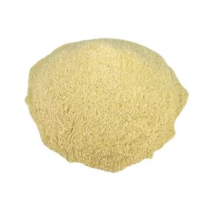 Hongos Tremella en Polvo x 1 kg.